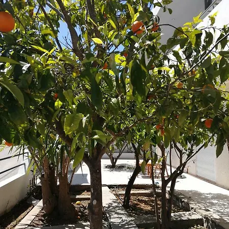 Rhodes Paulsia Cosy Apartments Appartement