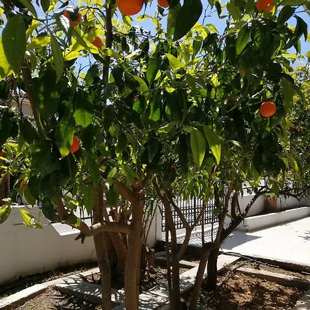 Rhodes Paulsia Cosy Apartments Appartement *