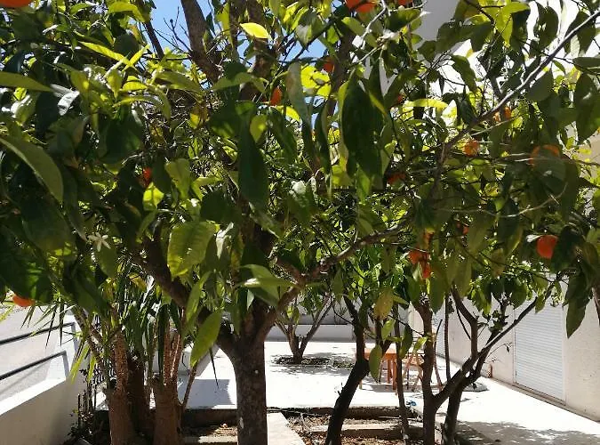 Rhodes Paulsia Cosy Lejlighed