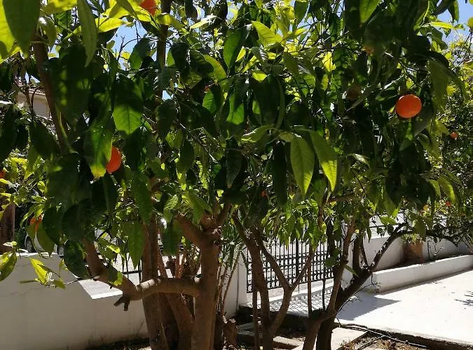 Rhodes Paulsia Cosy Lejlighed *