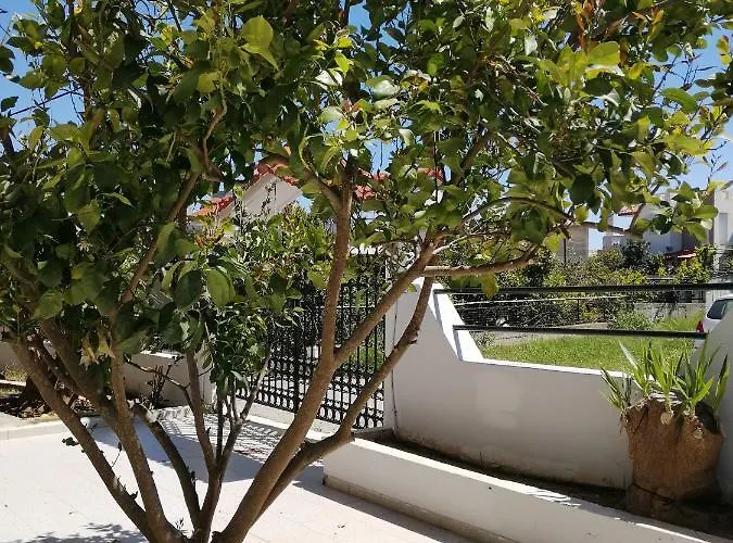 Rhodes Paulsia Cosy *